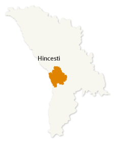 Hincesti