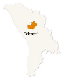 Telenesti