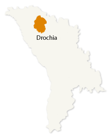Drochia