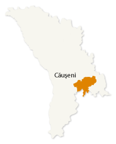 Căuşeni