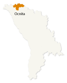 Ocnita