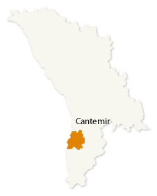 Cantemir