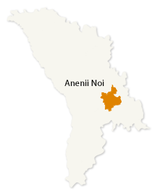 Anenii Noi