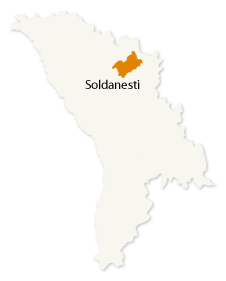 Soldanesti