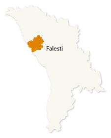 Falesti