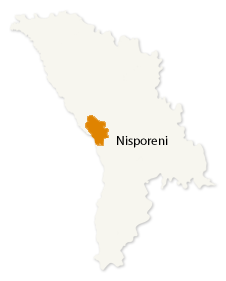 Nisporeni