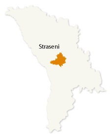 Straseni