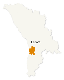 Leova