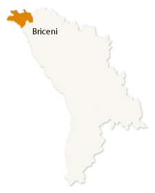 Briceni